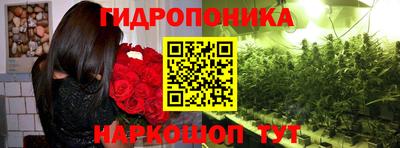 эйфоретик Мариинск